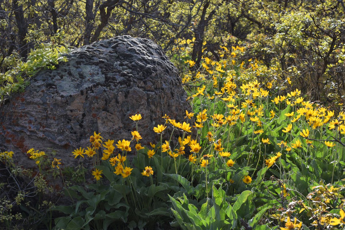 workingitoutnow tweet media