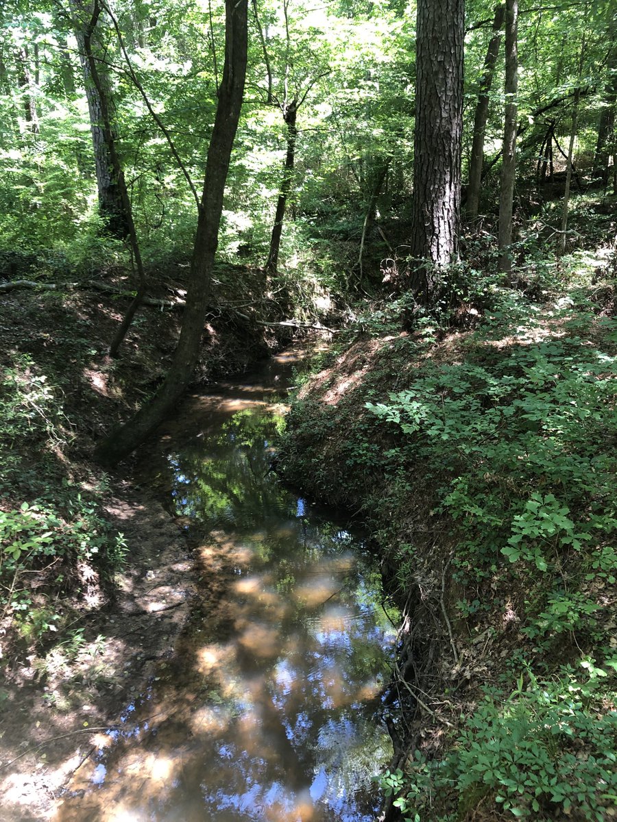 CoachJCardenas's tweet photo. If you have not been to the experimental forest then I suggest during this beautiful time of year you get out there!
@SFASU
#NacLife https://t.co/IlvInOFBGS
