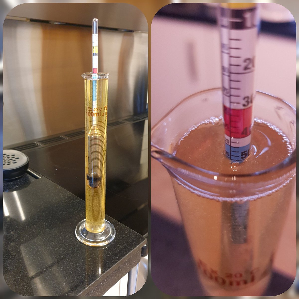 TonyCoulson10's tweet photo. The results of another #lockdownbrewday brewing another Kölsch #homebrew #homebrewing #scottishcraftbeer #homebrewingonly #longside #instabeer #kölsch #furloughbrew https://t.co/reQ5Ca6ZYw