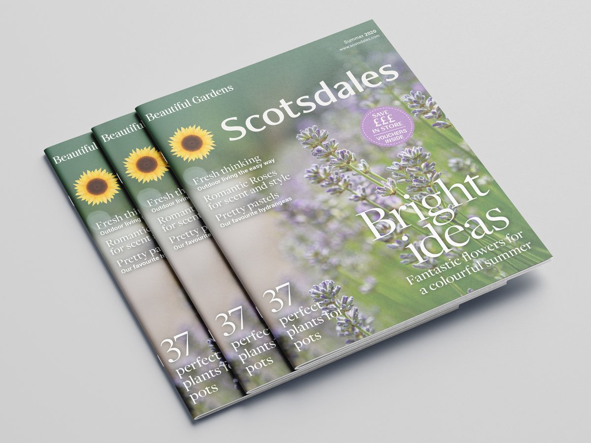 sarahfisherco's tweet photo. @stuartbache Thank you! I'm a graphic designer, portfolio at https://t.co/5ZFsvbe9WM 😊 #SundayDesign #graphicdesigner #freelancedesigner https://t.co/cdov5wB6oJ