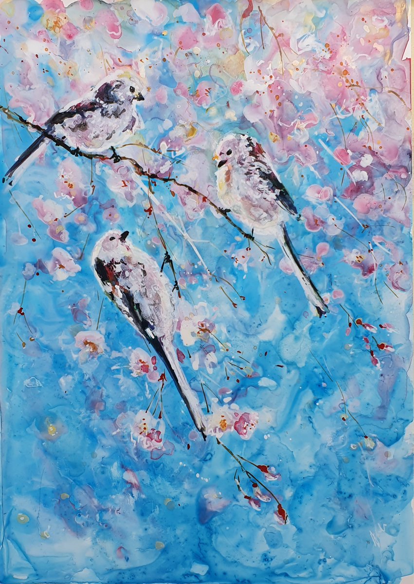 Jo McLaren Dunn tweet media