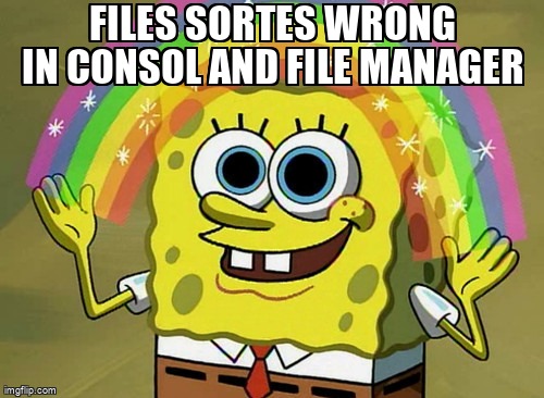 askubuntumemes's tweet image. Files sortes wrong in consol and file manager askubuntu.com/questions/1237… #filesorting #filemanager #gzip