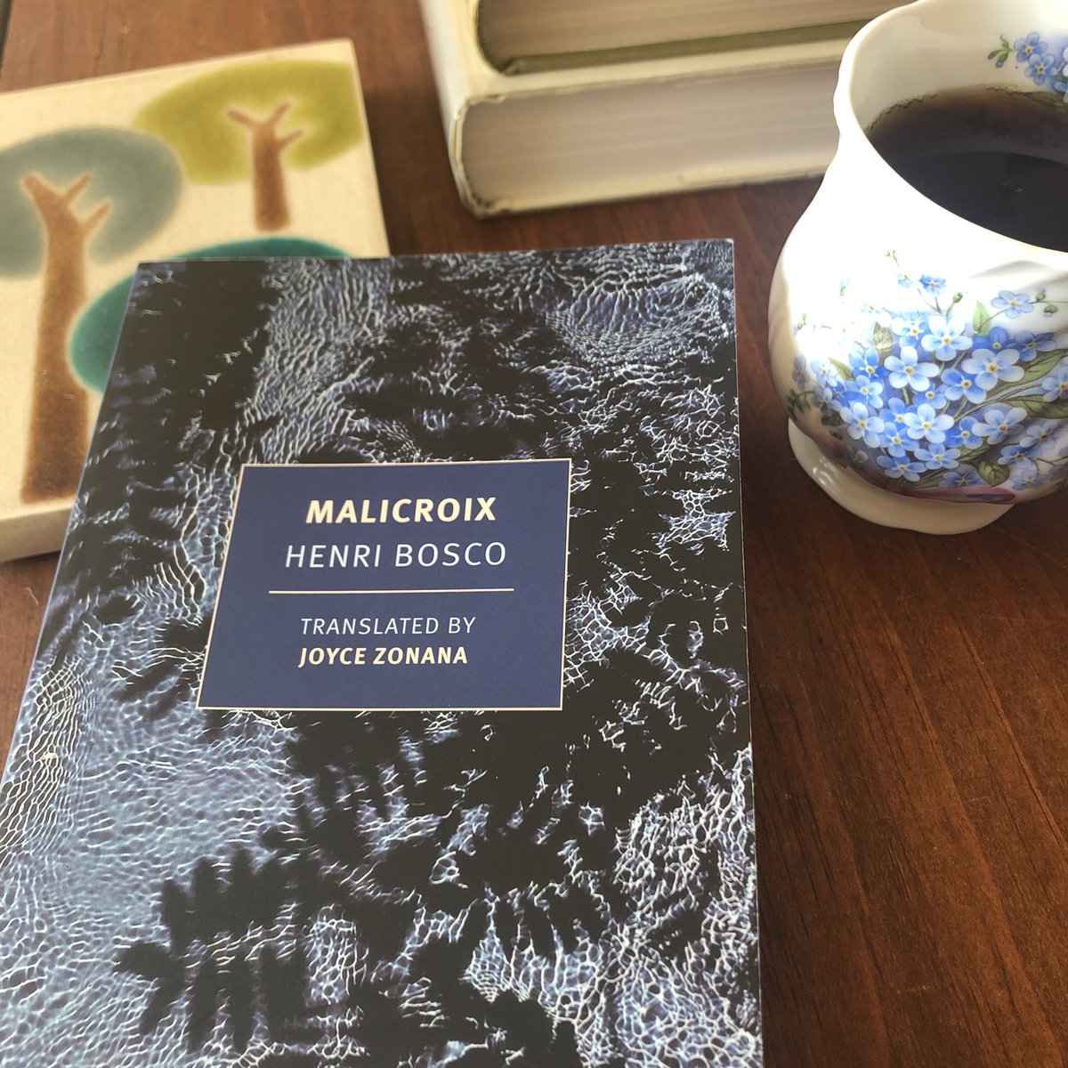 DrewalsoKermit's tweet photo. I don’t know that I’ve ever read a more beautiful book. @nyrbclassics #henribosco #malicroix #nyrbclassics https://t.co/JlrEt1DsiS