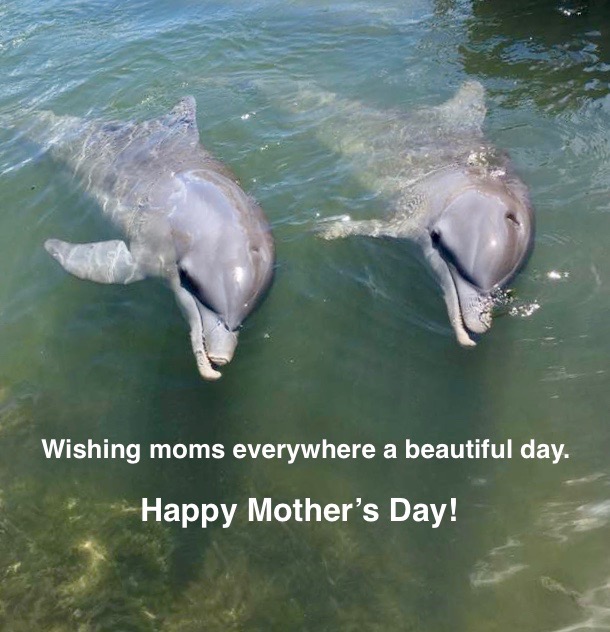 UnderwaterBar's tweet photo. Even if it's not Mother's Day in your country we wish you a special today and every day! https://t.co/bIWGP1boJ8