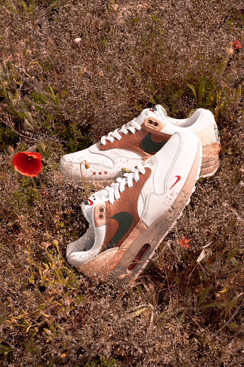 Poste Twitter pour la qualité 🤝

Gros champ de coquelicots derrière chez moi, alors on en profite!
Mesdames, messieurs, admirez là Air Max 1 Amsterdam 🥰