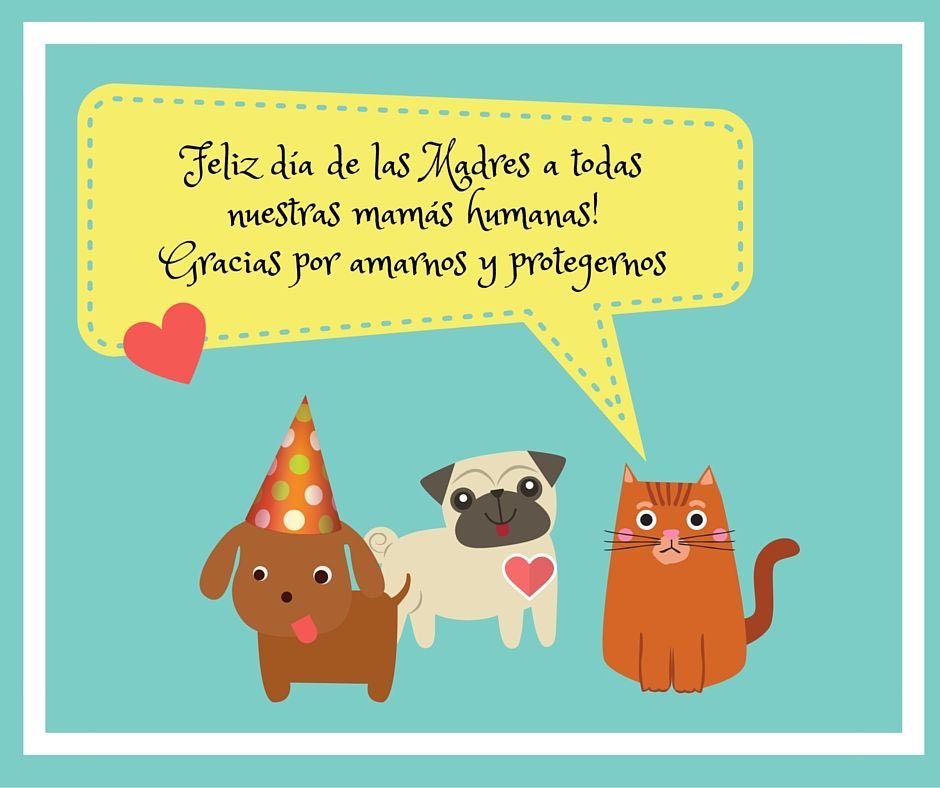 MascotasTochtli's tweet photo. Feliz día de las madres !! https://t.co/4P4FfSLjAi