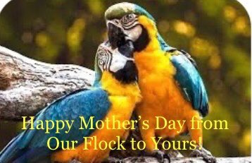To All the Wonderful Mothers that Continually Give Their Time &amp; Hearts Each &amp; Every Day!  Happy Mother’s Day!  #momsrock #momsrule