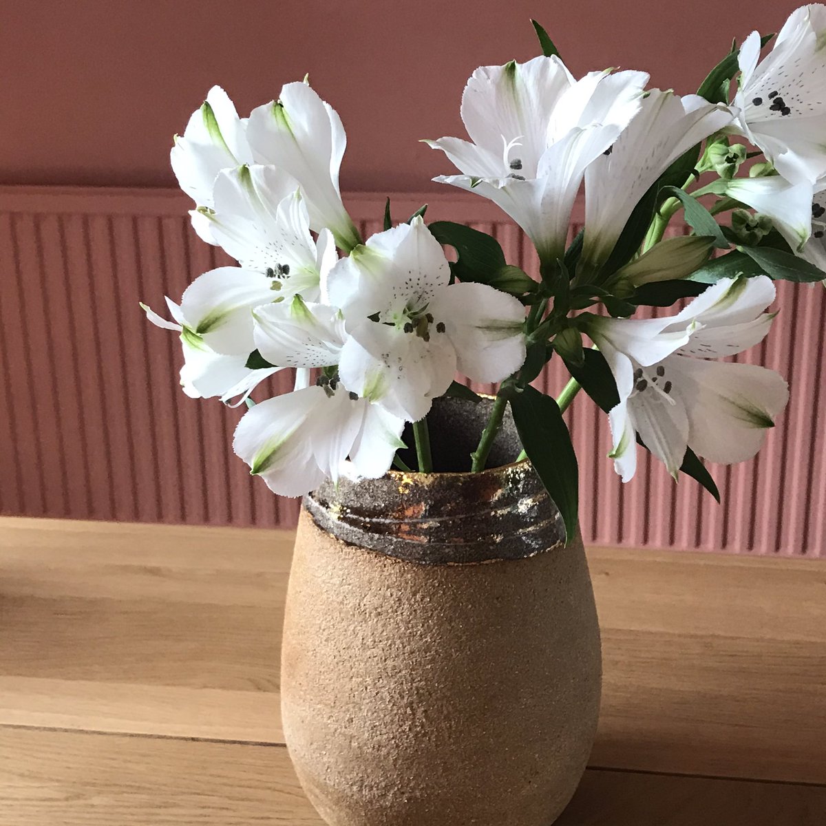 ireneandedith's tweet photo. Crisp white blooms &amp; a little 💫 20% code on until 11pm this eve LOVE20 💛 we could all do with a little tlc x #pots #ceramics #blooms #gold #tlc https://t.co/ZDJQb09211
