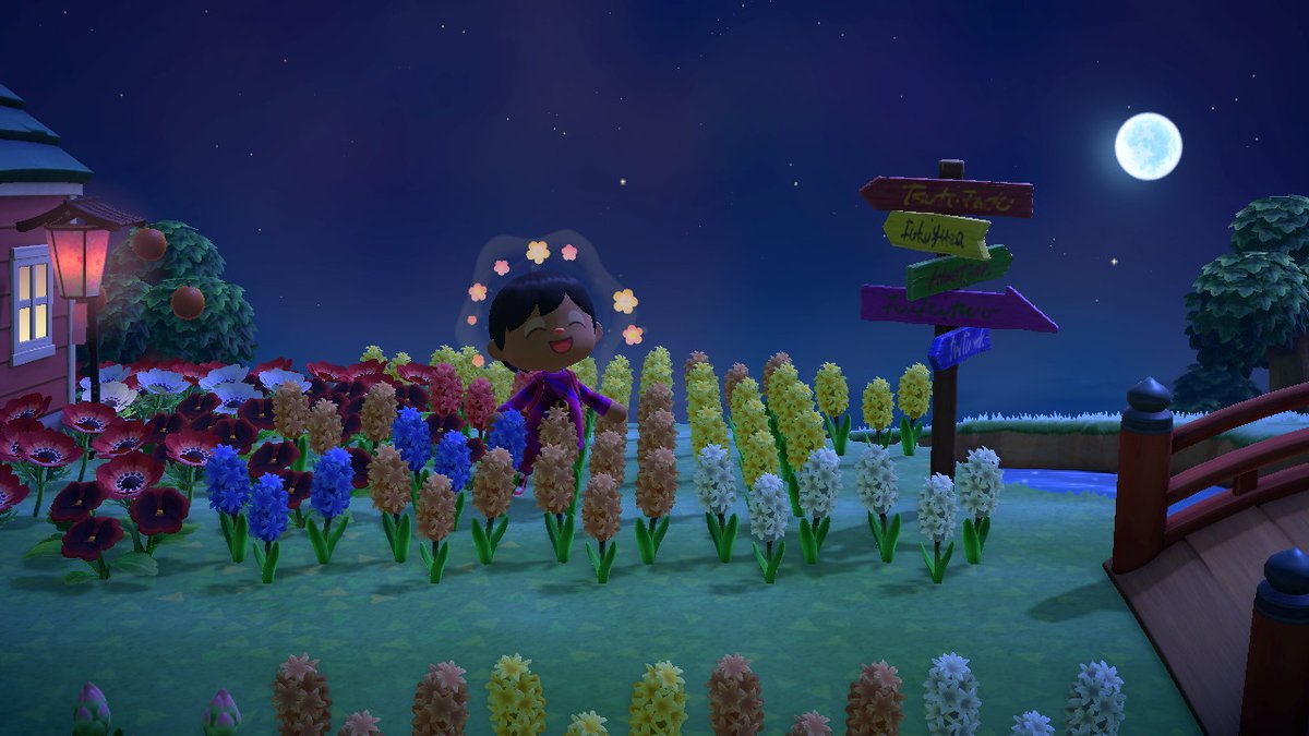 Playin_CatchUp's tweet photo. #AnimalCrossing #ACNH #NintendoSwitch https://t.co/EMDzp7wk44