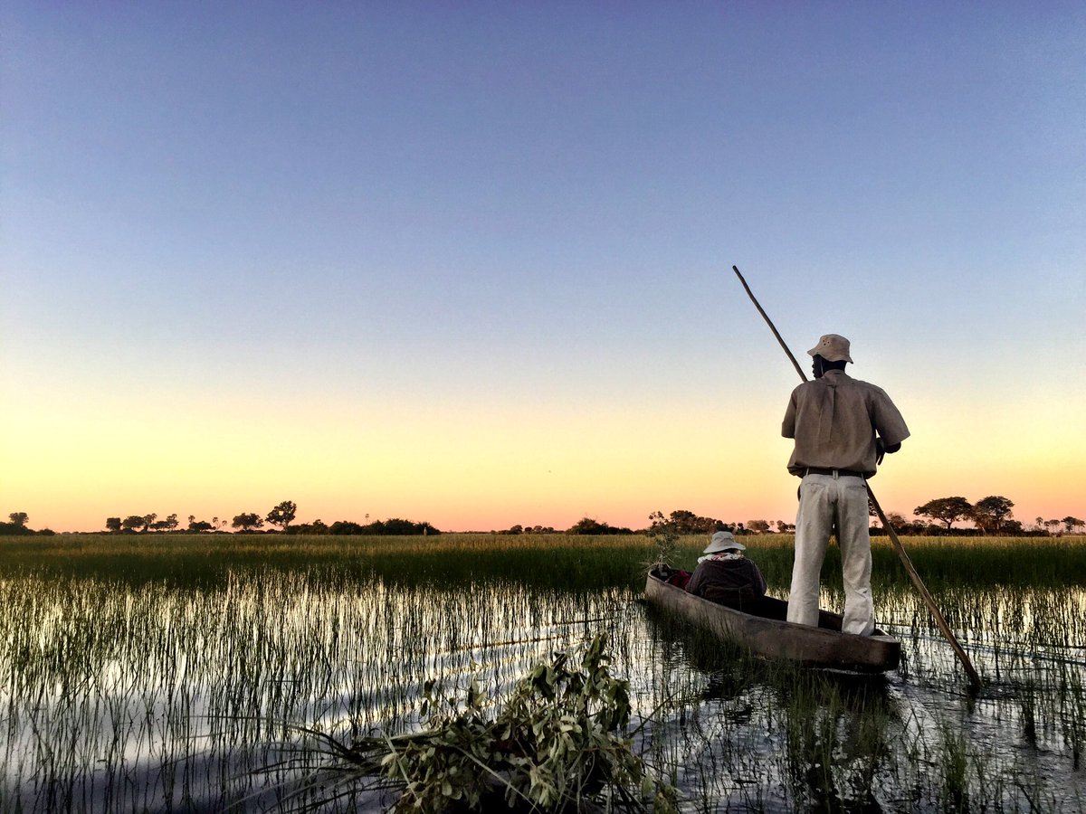 Mums been to Botswana a few times and has fallen for the place....it’s truly stunning &amp; the experiences will stay with her a lifetime 🐘 #walkingwithelephants