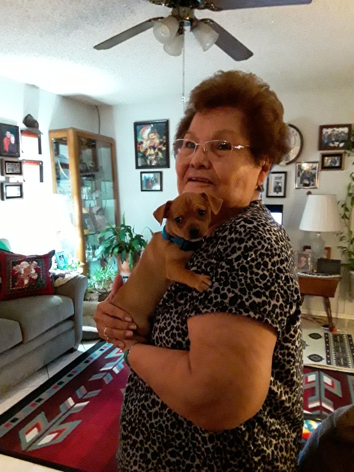 NativeWaves_HPR's tweet photo. Thanks to the Creator for allowing me to have a mom who's done so much for me to this day. Happy Mother's Day to her, much love & appreciation for all you've done. She's pictured w/her little running buddy gifted to her earlier this year. #HappyMothersDay #NativeWaves_HPR https://t.co/ndOFREvsMd