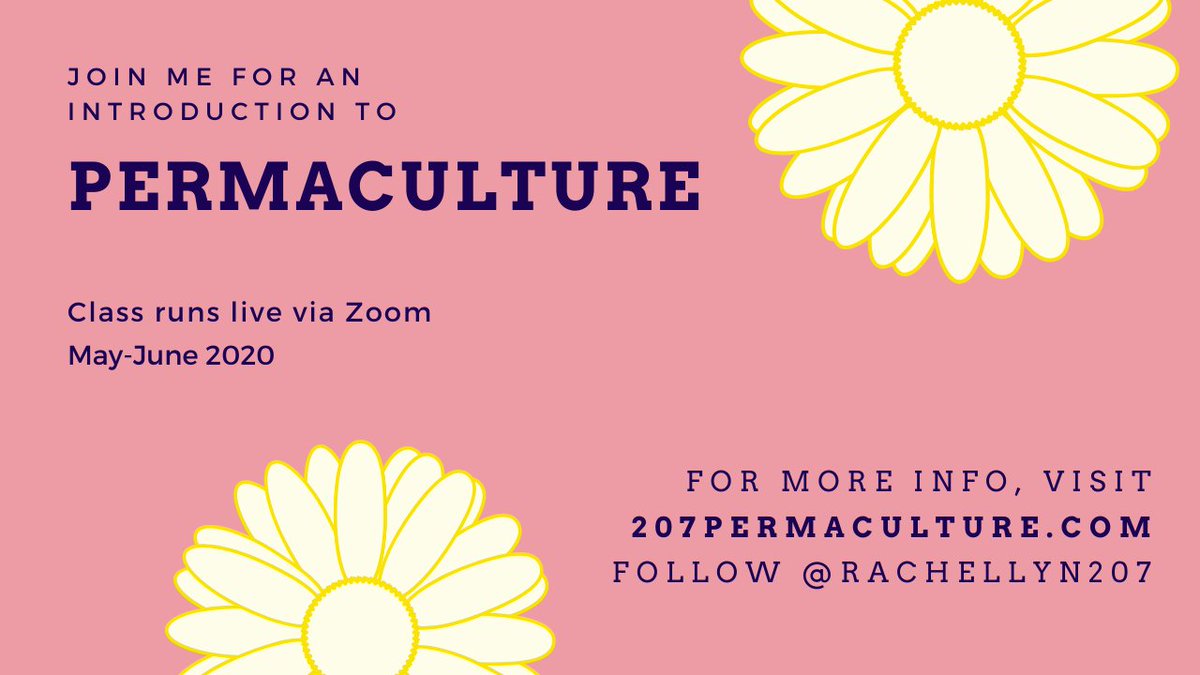 RachelLynRumson's tweet photo. This offering is based on the idea that the permaculture imagination is needed right now, as we are experiencing a massive disturbance. The fabric of normal is unfrozen, in a sense. What seeds fill the new niches are up to us. Let's be sure to sow for generative times. https://t.co/6W61uDntLX