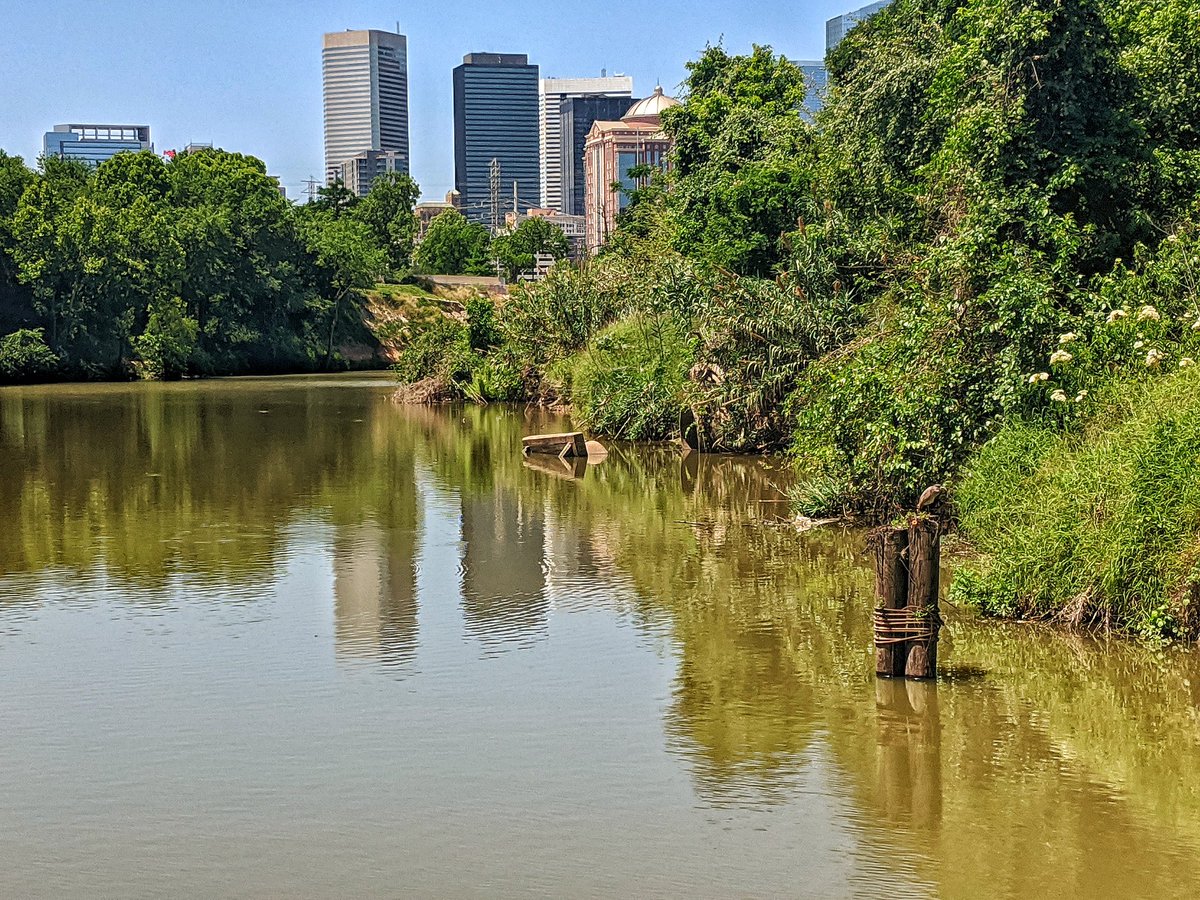 AdamWillyums's tweet photo. Another lazy Sunday on the bayou #swampcity #wildhouston #houston #buffalobayou https://t.co/OLoisfcBhI