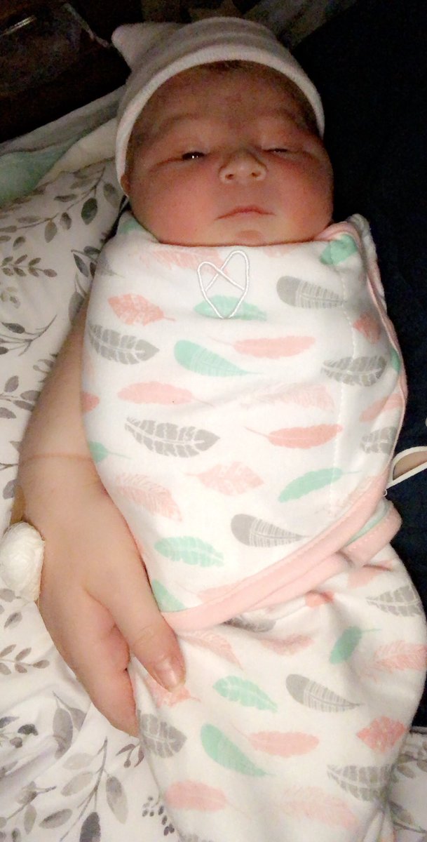 Isabelle Thayer tweet media