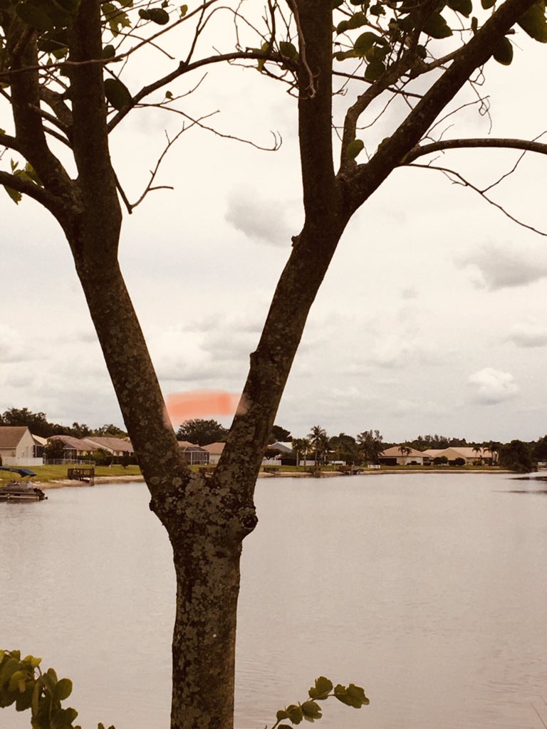 MayraViale's tweet image. Angles #GeometryinNature