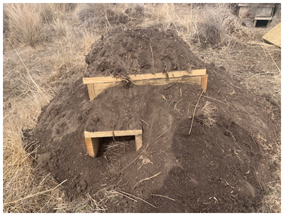 With  @PhillipIslandNP, I'm testing artificial burrow designs that will protect penguins from extreme heat events. It's an interim solution to be implemented alongside appropriate vegetation management. The aim is to buy time while we work towards a cooler future  #ThisIsMyScience