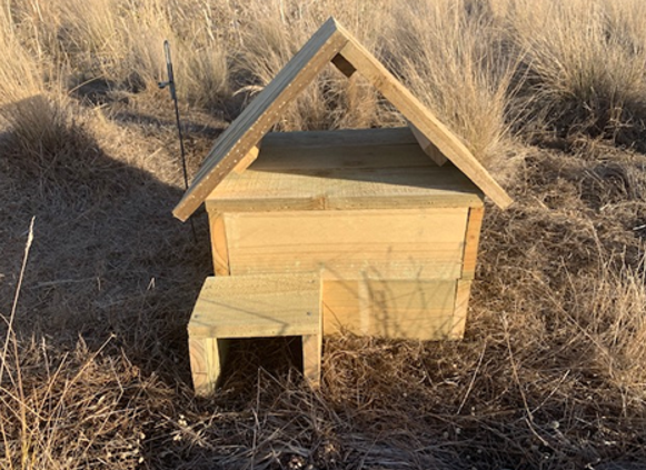 With  @PhillipIslandNP, I'm testing artificial burrow designs that will protect penguins from extreme heat events. It's an interim solution to be implemented alongside appropriate vegetation management. The aim is to buy time while we work towards a cooler future  #ThisIsMyScience