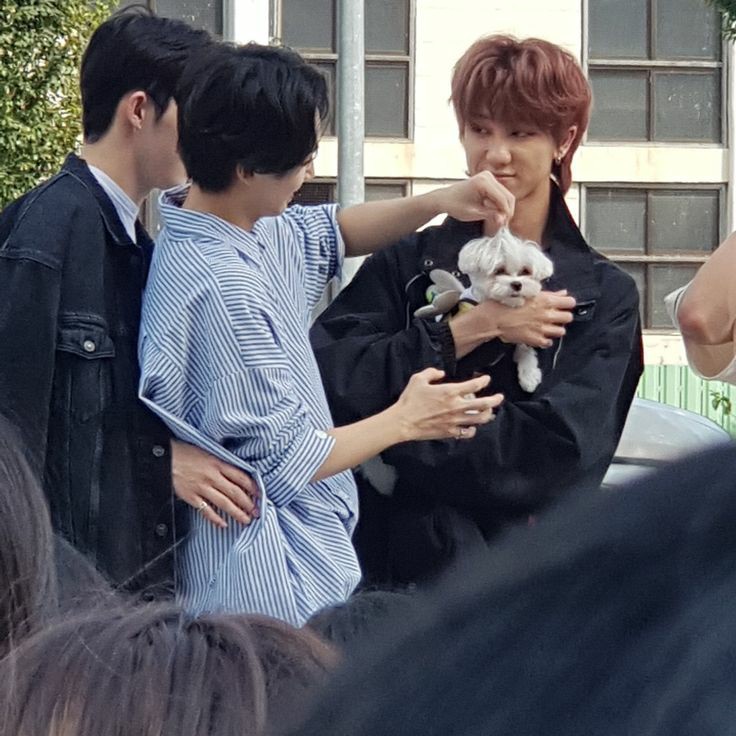 gonna leave this one here, seungcheol& #39;s hands on jeonghan& #39;s waist, this is too much, my heart