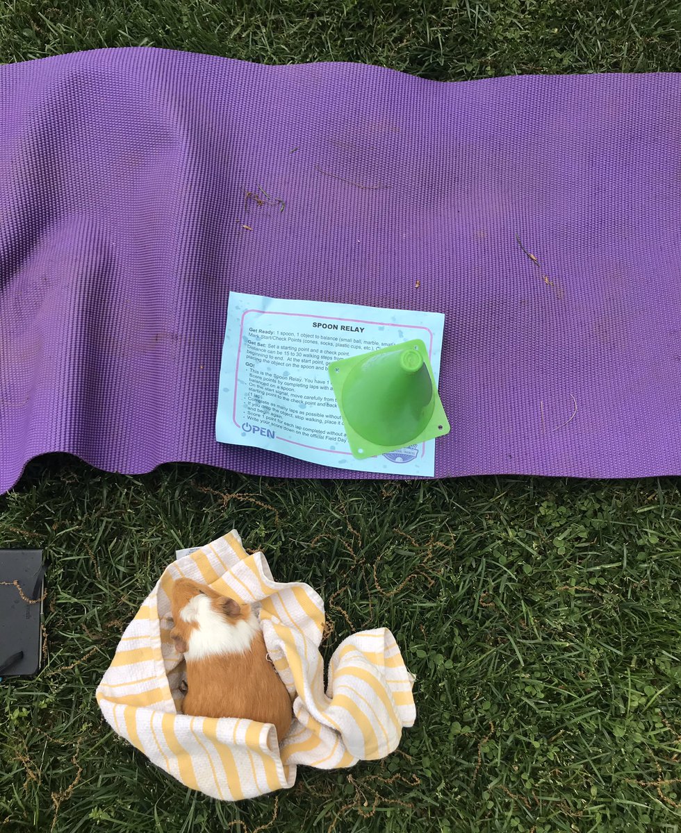 Angela Torpy tweet media