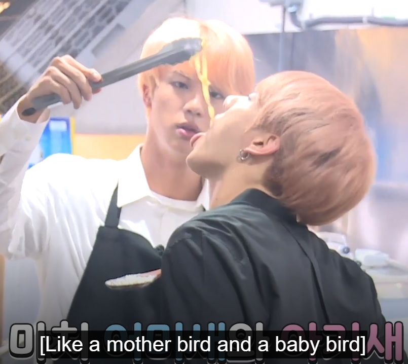 jungkook baby bird