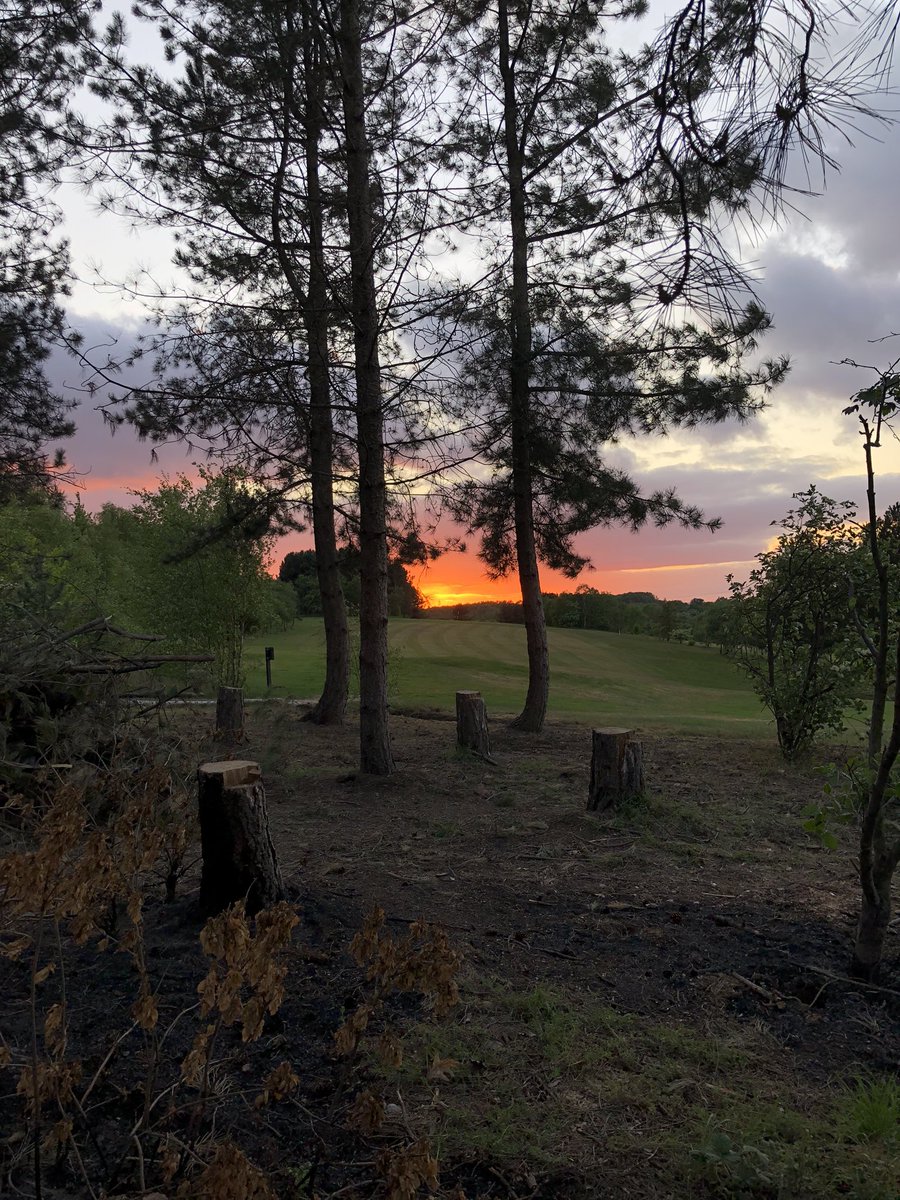 Sunset tonight was a bit pretty 💕