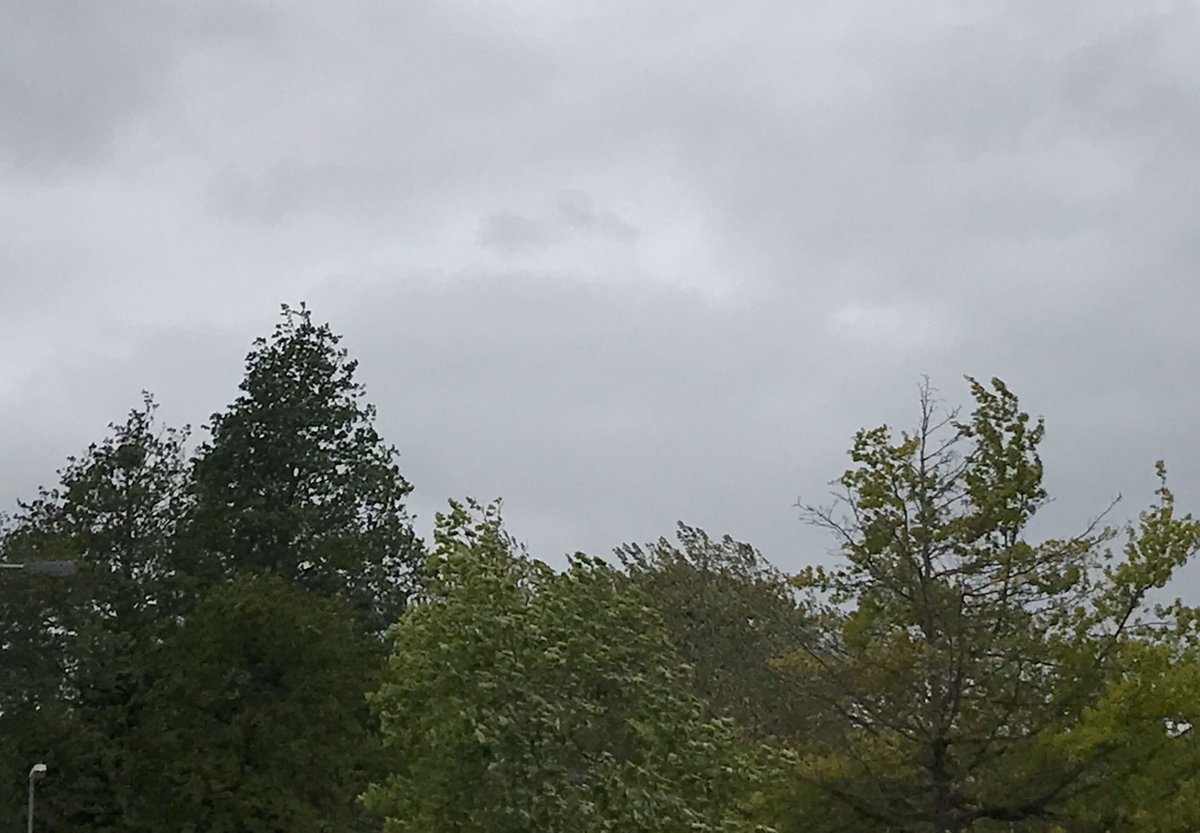 1000Rach's tweet photo. What a difference a day makes #OneADayPhoto  #OneADayExercise #LockdownLife #BankHolidayWeekend #weather #sun #wind #exercise #walking #health #wellbeing #chilterns #chesham #buckinghamshir ☀️💨 https://t.co/G1OhcT8L3J