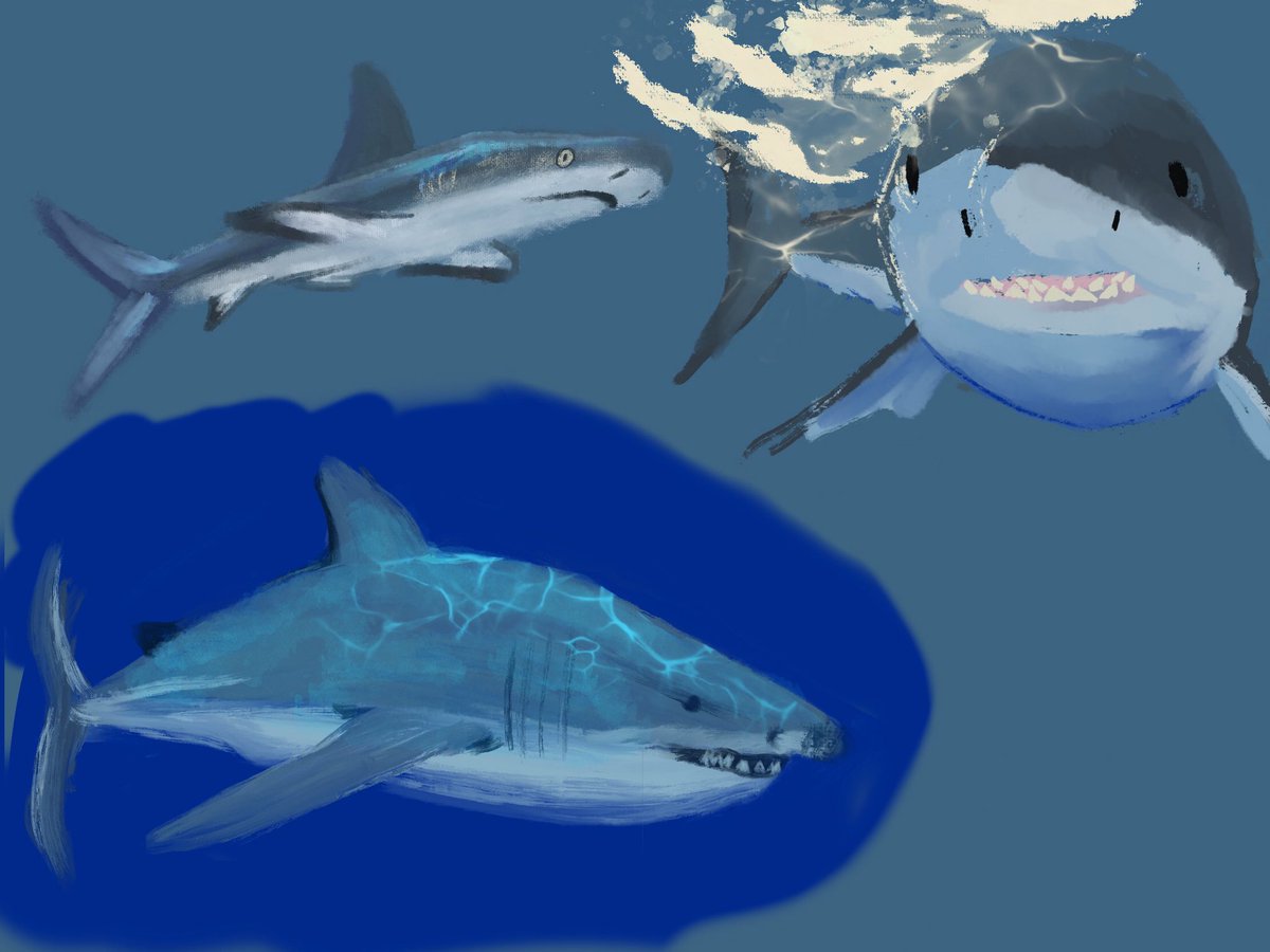 circuitrycat's tweet photo. In preparation for a painting for mermay. #paintstudies #procreateart #sharks #pier #dock #summer #blues #art https://t.co/YXa1CZjBlk