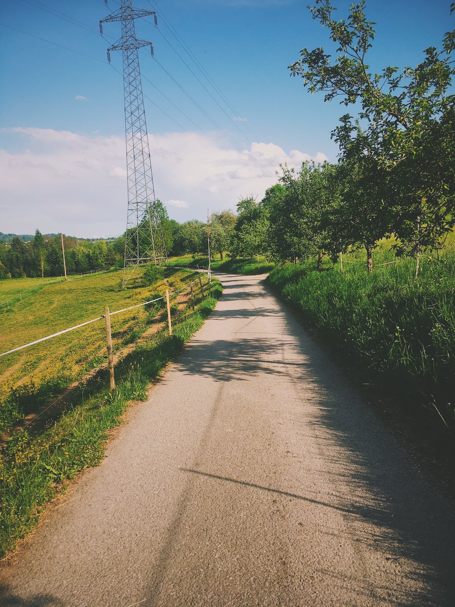 moritzw's tweet image. Today I planned my #roadbike tour with the @CyclOSMorg layer in #brouter. Fantastic way to see seperate bikepaths, surface type (striped = gravel) and national bikeroutes at one glance. Great work done by the @CyclOSMorg and #brouter team!