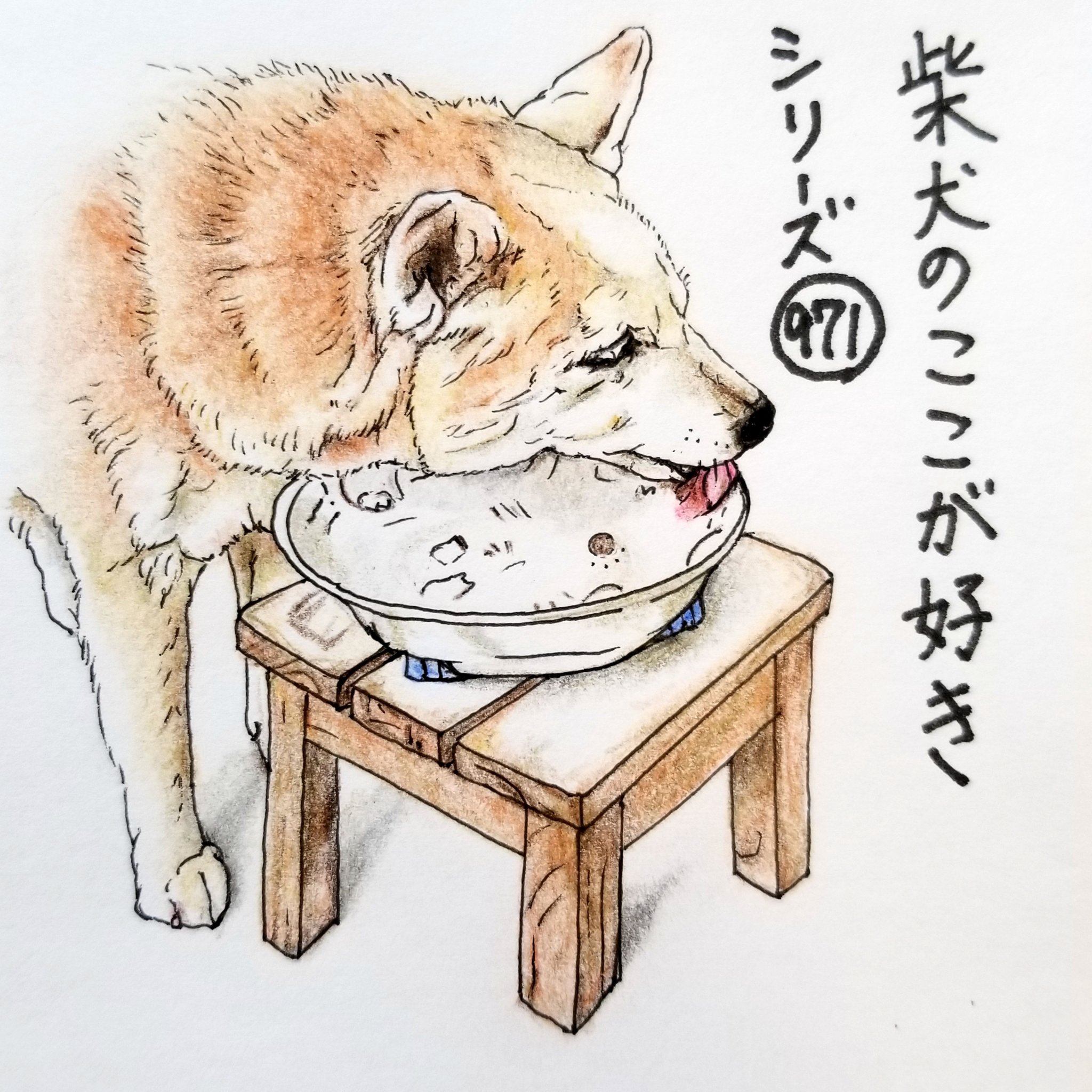 Twitter 上的 ここ柴 ごはんを食べ終わったあと 反対側のふちもきれいにするとこ ちょっと首を伸ばしてね 柴犬のここが好き ここ柴 ここ柴部 柴犬 イラスト 色鉛筆 お久しぶりです またぼちぼちはじめます よろしくお願いします T Co