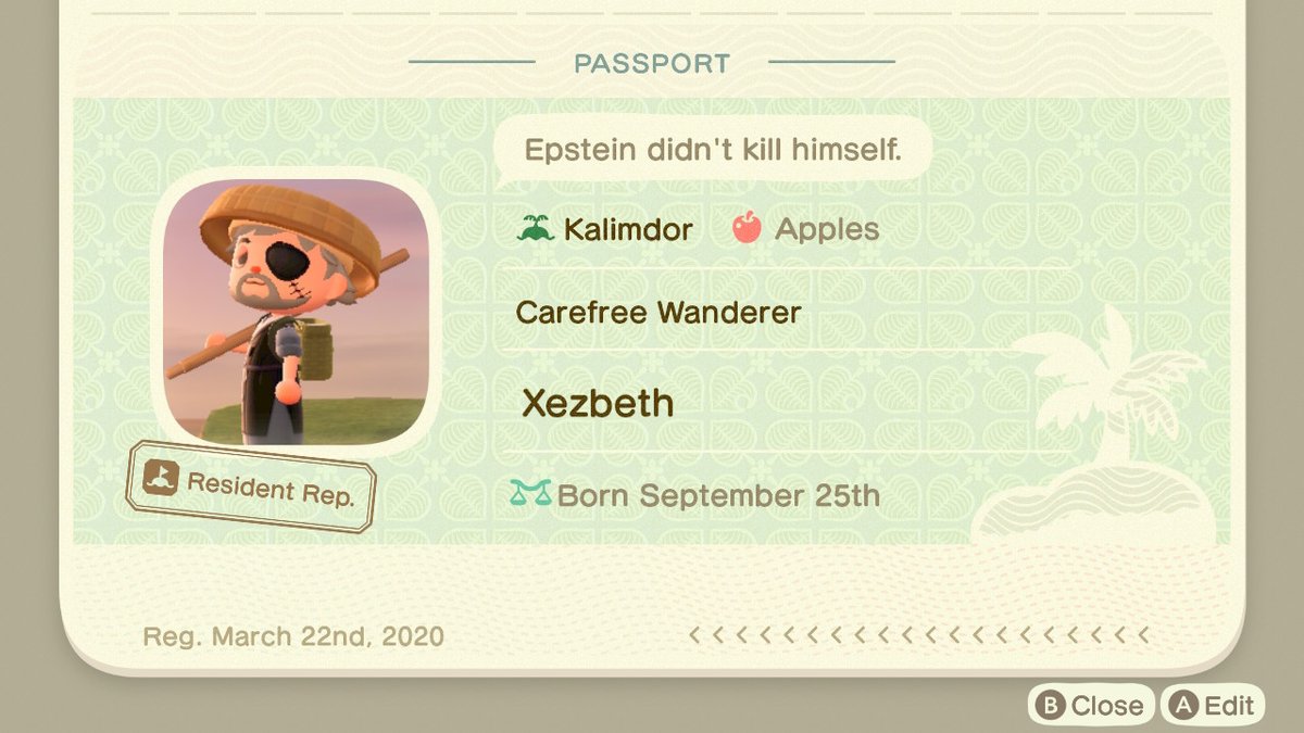 Xezbeth23's tweet photo. #AnimalCrossing #ACNH #NintendoSwitch https://t.co/9CuunpJrZT