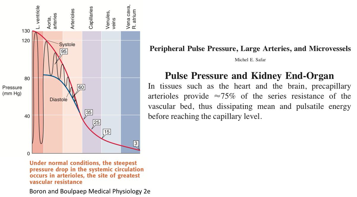 Pressure dissipation along the vascular tree is not only a function of compliance ("pressure cushion") but also of resistance. Aortic pulsatile pressure does not reach the capillaries mainly because of vascular resistance at the level of arterioles. (9/17)