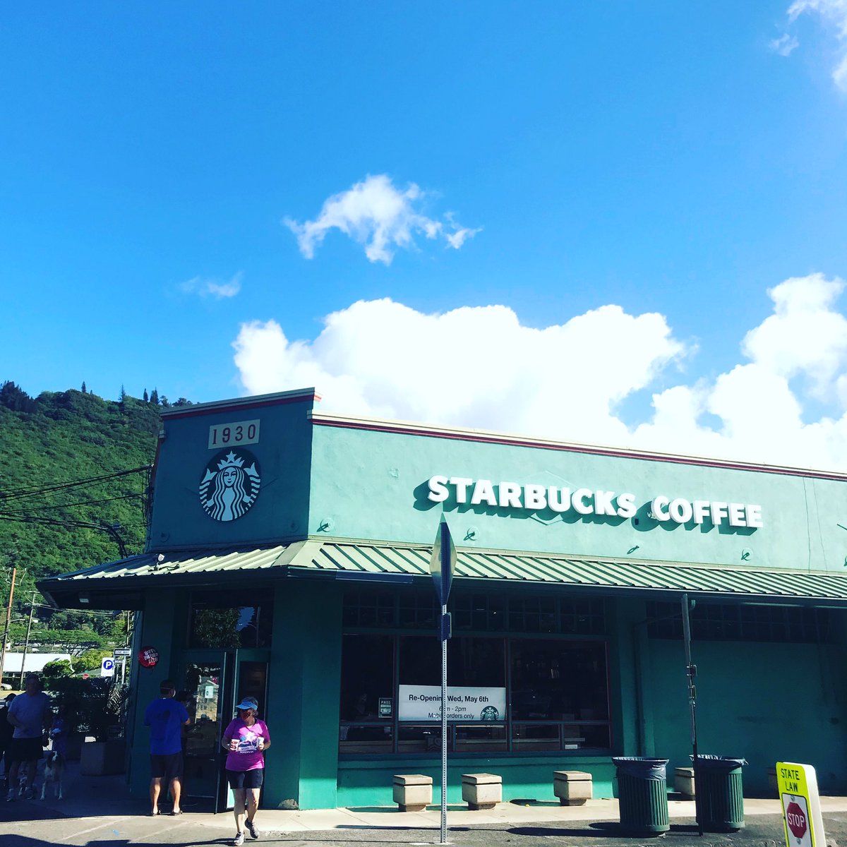 緑のスタバ 緑のスタバ