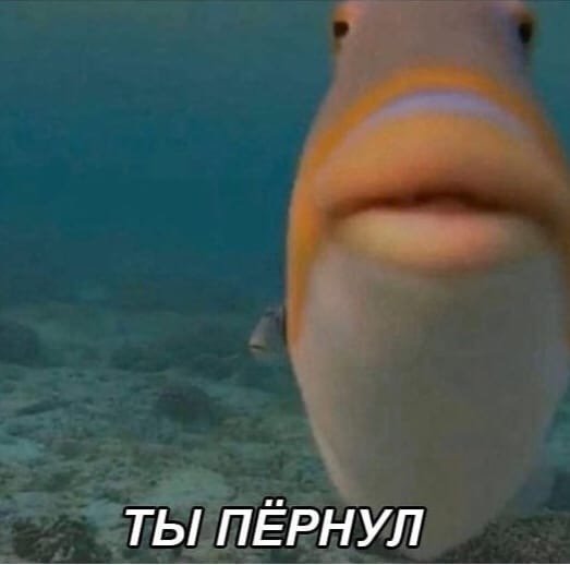 janeeva9's tweet photo. #reneweannewithane
Мы:/изо всех сил поднимаем хэштег в топ/
@netflix : https://t.co/RY6z66CPri