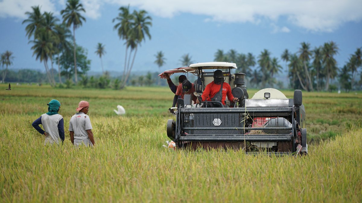 Panen Padi di Tengah Pandemi Covid-19 di Aceh 
bit.ly/2zov2wU