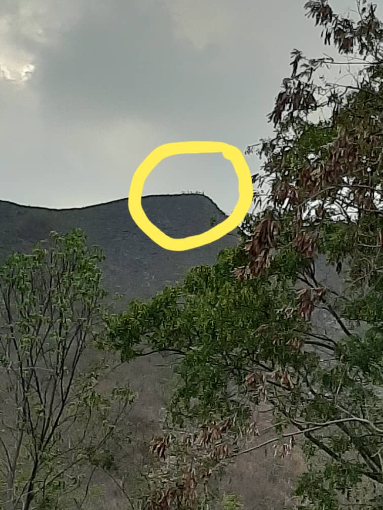 OSM_VENEZUELA's tweet photo. #MasTemprano | #Carabobo #10Mayo2020
Bomberos San diego realiza maniobras de salvamento Lesionado Daniel Gil 15 a CI 31.128.796 Res. en San Diego se encontraba caminando por la cresta del cerro parte alta resbaló y cayó unos 100 mts. hacia la falda del cerro Lomas de la Esmeralda https://t.co/icr8SF3J5v