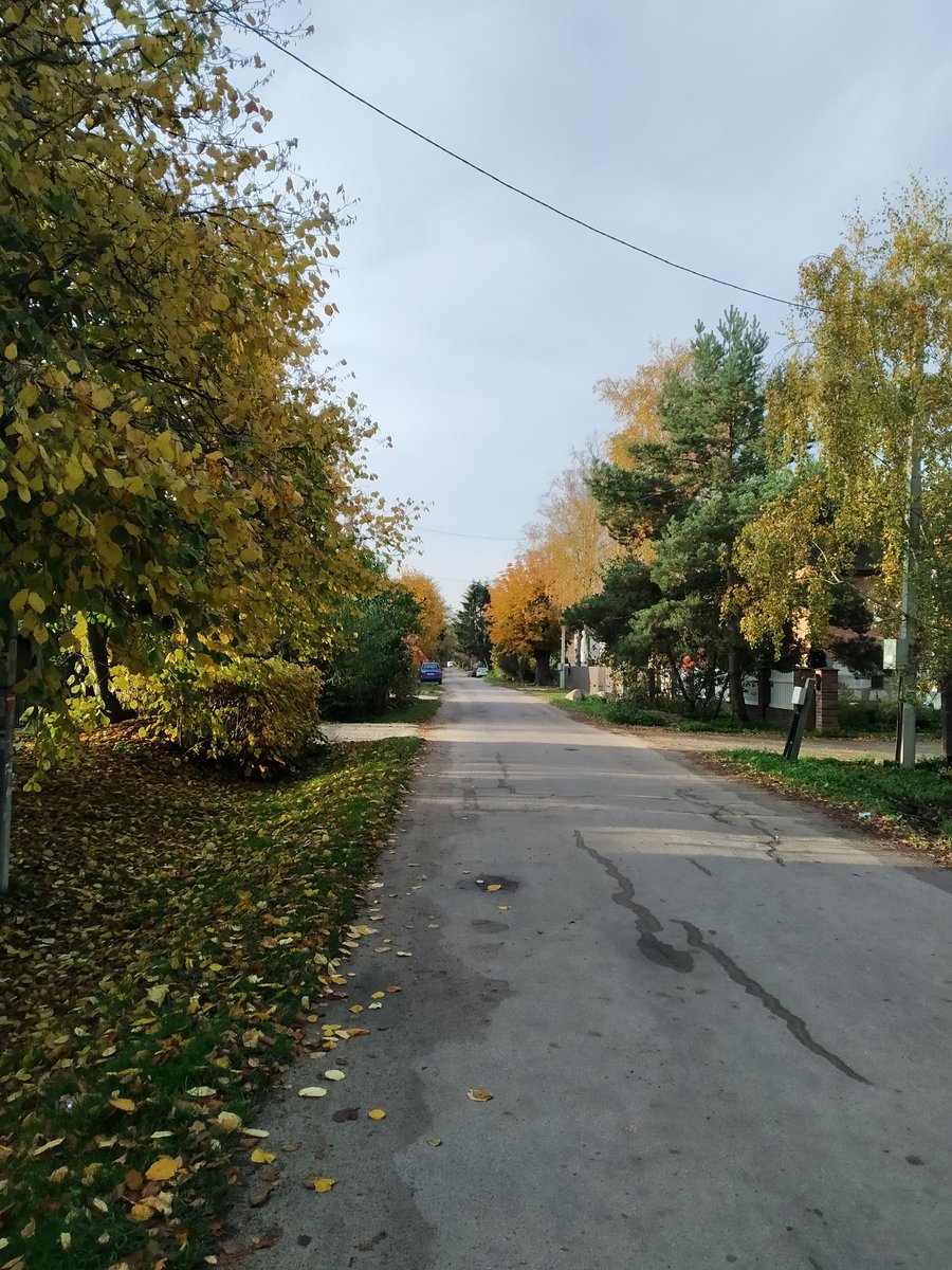janeeva9's tweet photo. Эх 
Самый беззаботный сезон в этом году это осень. Хотя... Год же ещё не закончится, что это я так) 
#reneweannewithane https://t.co/32l7qSllvf