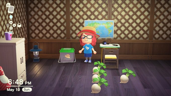 So this is my friend, Pocket the Snail  #AnimalCrossing #ACNH https://t.co/MgKkMogW95<a href="/tag/animalcrossing"class="tags">#AnimalCrossing</a><a href="/tag/acnh"class="tags"><span>#acnh</span></a>