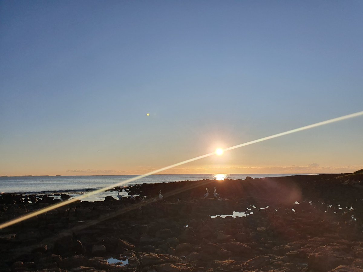 AlissaAnneP's tweet image. Warrigal Walking Challenge begins - Day 1! 💜