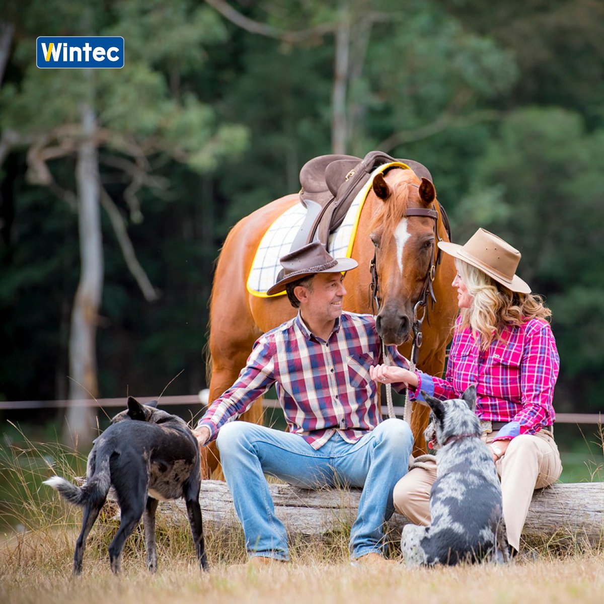 Time for FAMILY!

Everyone's riding family is unique. Make the most of your precious moments together with a hassle-free Wintec saddle. 

Whatever your discipline, find your next Wintec saddle at ➡️ wintec-saddles.com