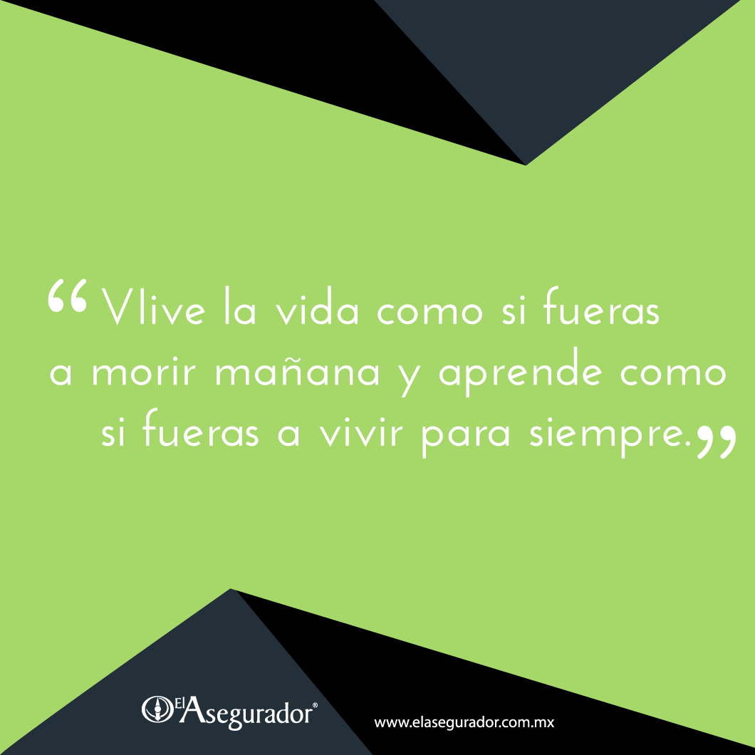 ElAsegurador's tweet photo. Disfruta y aprende, así vivirás mucho mejor. https://t.co/HU9hRx7b7H