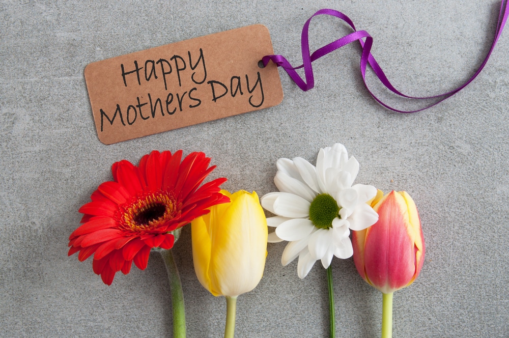 NewbornHub's tweet photo. If you are one, if you have one, or if you know one - #HappyMothersDay https://t.co/66UHNOPzoL