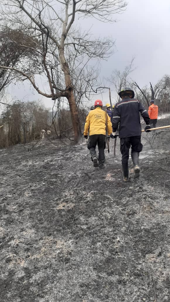 Activado equipo multidisciplinario de la @SecretariaPaz @PalavecinoAlcd @PCADLARAOFICIAL, @rescate_ser, #VoluntariosGASAR, @GNBoficial, @BomberosIrib @BombPalavecino @Inecolara y Guarda Parques, para combatir efectivamente el incendio registrado en Parque Nacional Terepaima.