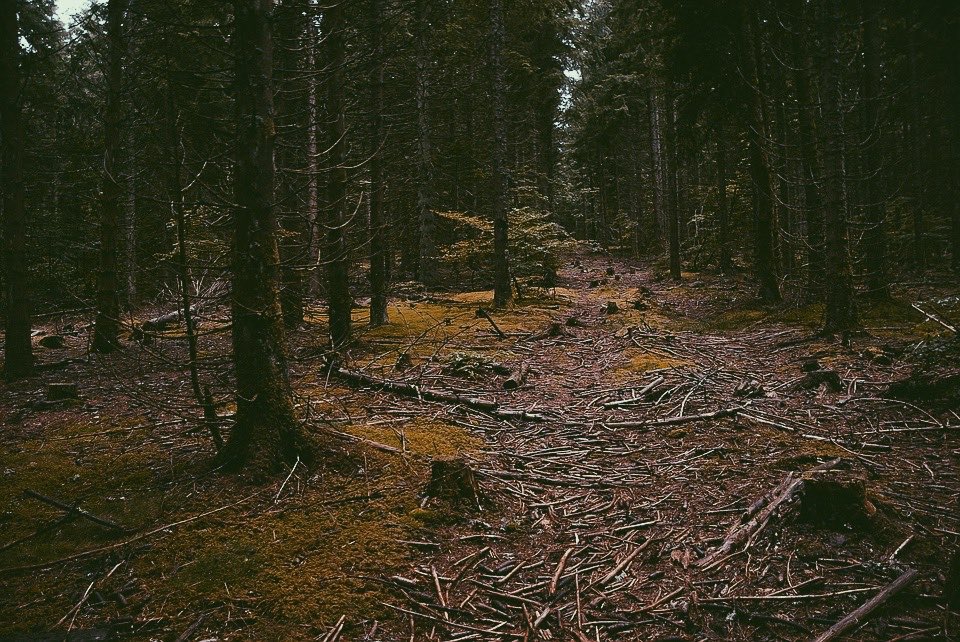 Il jeta finalement les vêtements dans un sous-bois et le corps dans un parking publique.De retour chez lui, il prit une carte postale à envoyer à la famille de la victime où il ecrit :« Erika. Froid. Toux. Gorge. Repos. Mort. »