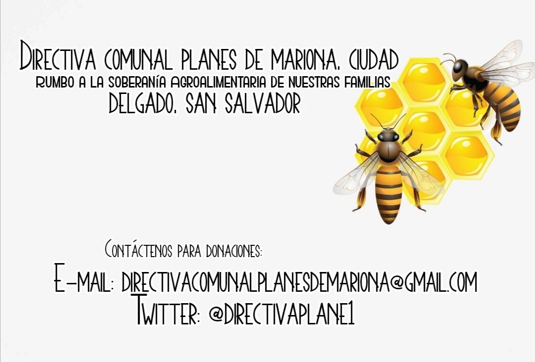 directivaplane1's tweet photo. Ante la eminente crisis Agroalimentaria por la que atraviesa nuestro país a causa del COVID-19. Los agricultores de nuestra comunidad preparamos condiciones, para contribuir a la seguridad Agroalimentaria de nuestras familias.🚜👩‍🌾 #elagronopara #QuedateEnCasa https://t.co/vdWHnXuMgr