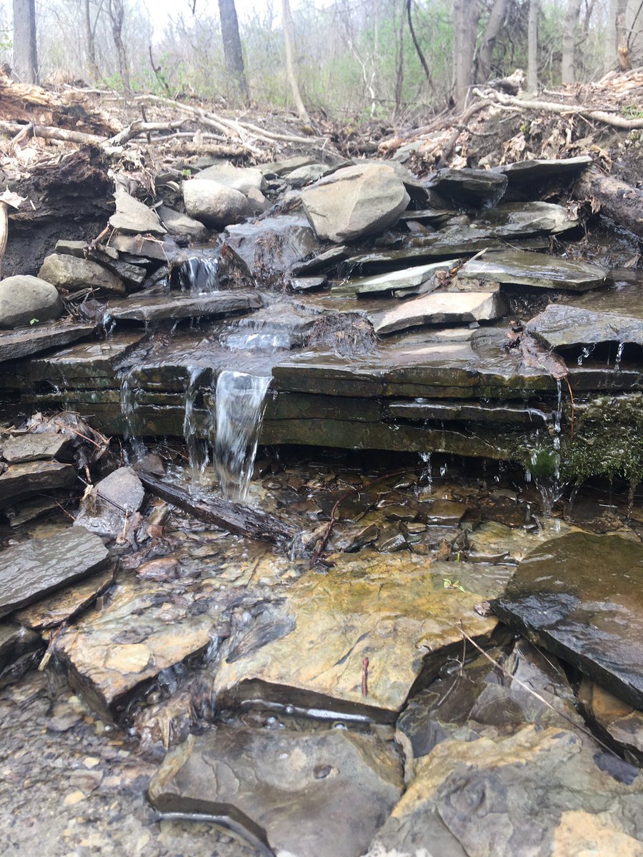 senecasolflx's tweet photo. Babbling brook. #babblingbrook #springrunoff #springmelt https://t.co/3l46VQgEtJ
