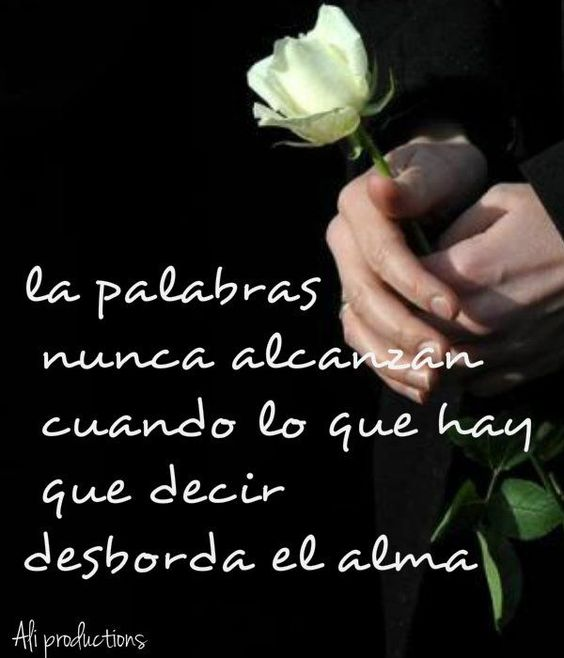 SandraO35943417's tweet photo. Desde lo más profundo de mi corazón le envío mis más sentido pésame a la familia de nuestra compañera, que descanse en paz.. #SiempreMásParaLosDemás  #SoyArrupe  @ColPadreArrupe  @EducacionSV @aevelyn2015 @AuroraRato @SantiagoNogale2 @Vega791 @SusanaR48769948 https://t.co/m5R8UBxpy6