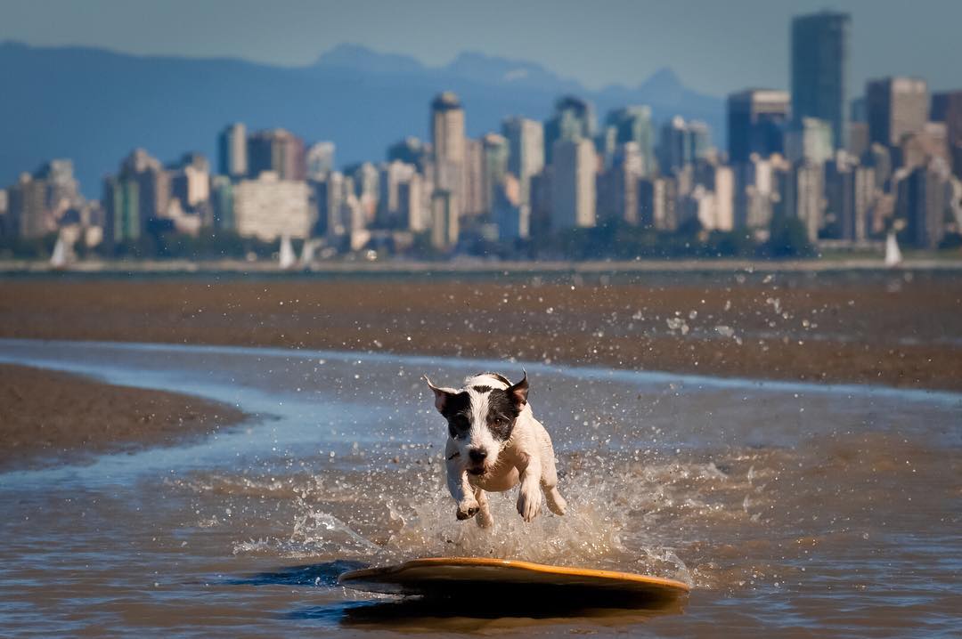 Skimboarding anyone?