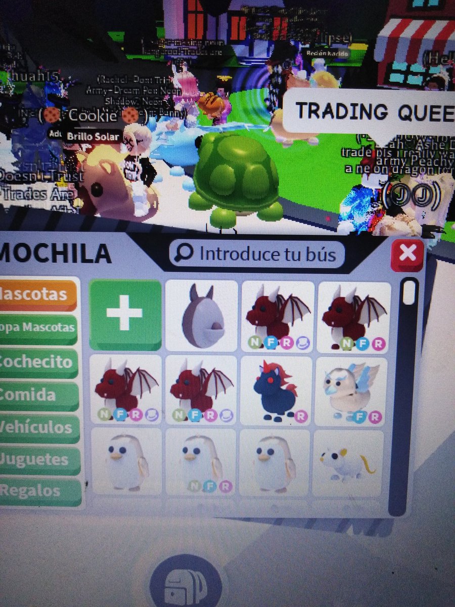 xFranGame1's tweet photo. Offers? #adoptmetrades #adoptmetrade #adoptmetrading #adoptmefan #adoptme https://t.co/ddpRVzjIP5