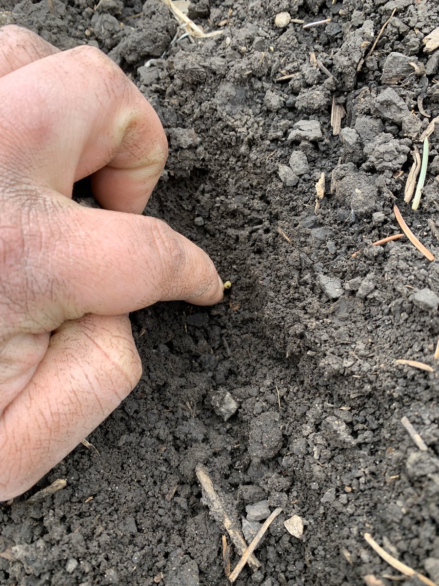 Michael Zylstra đșđž (@zylstra87) on Twitter photo Furrow force on the left 12 rows. First pic is row 12, 2nd pic row 13 <a href="/breakthrough_ag/">Breakthrough Ag</a> <a href="/precisionplant/">Precision Planting</a> <a href="/t_mckown/">Trevor McKown</a> Furrow force on the left 12 rows. First pic is row 12, 2nd pic row 13 <a href="/breakthrough_ag/">Breakthrough Ag</a> <a href="/precisionplant/">Precision Planting</a> <a href="/t_mckown/">Trevor McKown</a>