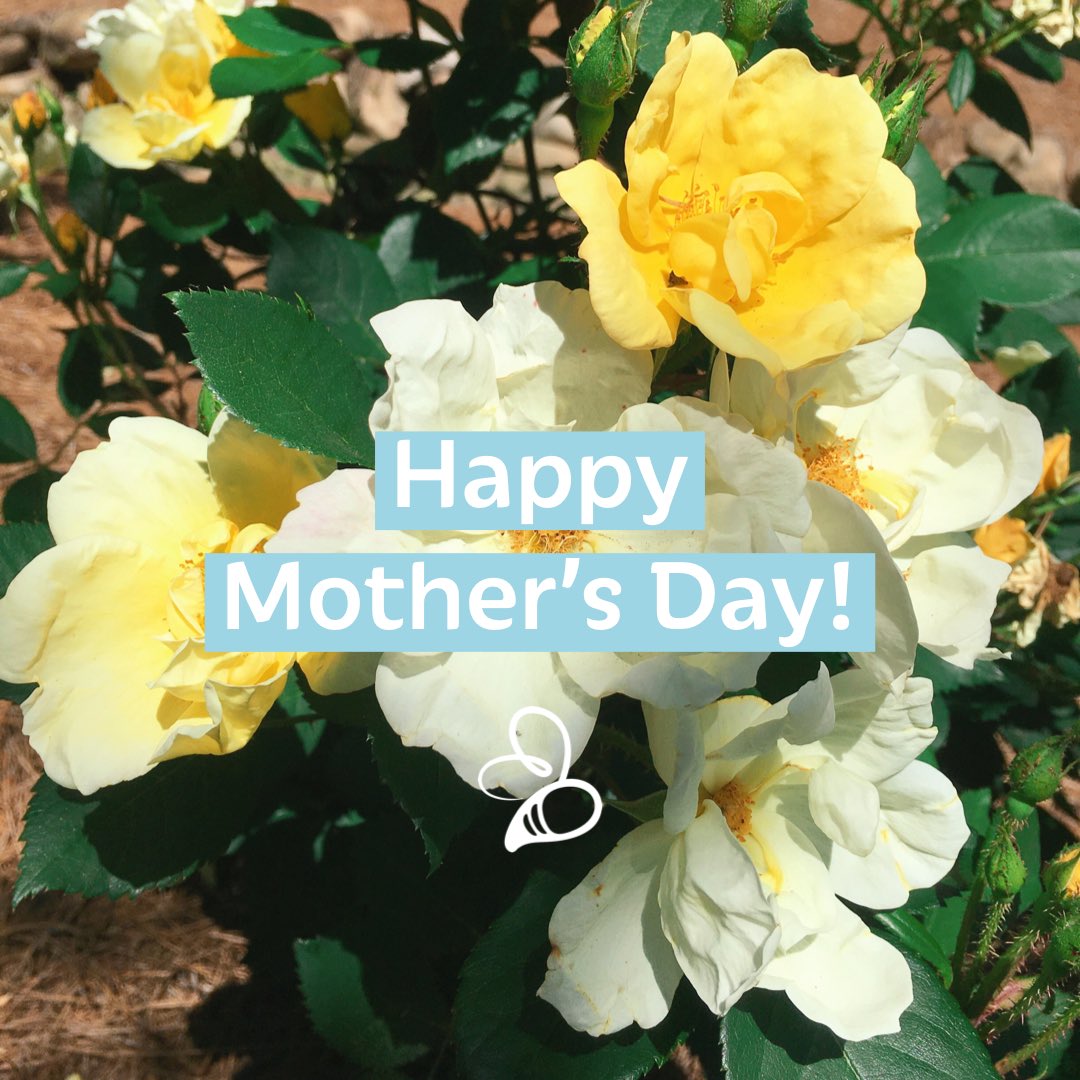 OmegaPhiAlpha's tweet photo. Happy Mother’s Day to all of the OPA mommas and mother figures out there! We hope you’ve had a wonderful day. 💛💙 #HappyMothersDay #omegaphialpha https://t.co/oGKZ5zZ9I6